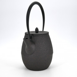 japanese high prestige brown cast iron teapot chûshin kôbô NATSUME