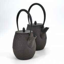 japanese high prestige brown cast iron teapot chûshin kôbô NATSUME