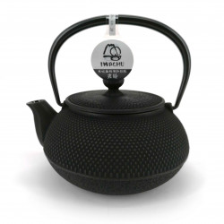 Japanese teapot cast iron, IWACHU ARARE, black