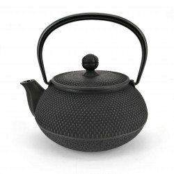 Japanese teapot cast iron, IWACHU ARARE, black