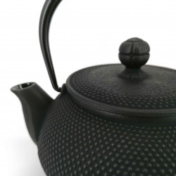 Japanese teapot cast iron, IWACHU ARARE, black