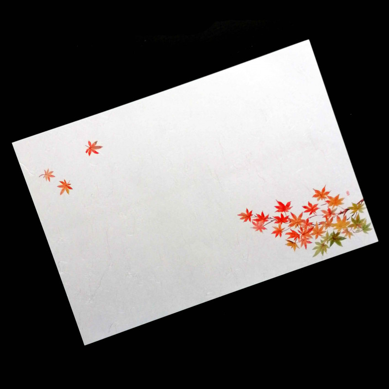 10 mulberry paper placemats - MOMIJI