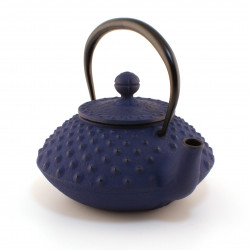 Japanese blue cast iron teapot. Iwachu. Kambin 0.3 lt