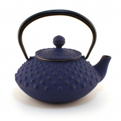 Japanese blue cast iron teapot. Iwachu. Kambin 0.3 lt