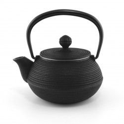 Japanese black cast iron teapot. Iwachu Senbiki 0.3 lt