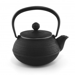 Japanese black cast iron teapot. Iwachu Senbiki 0.3 lt