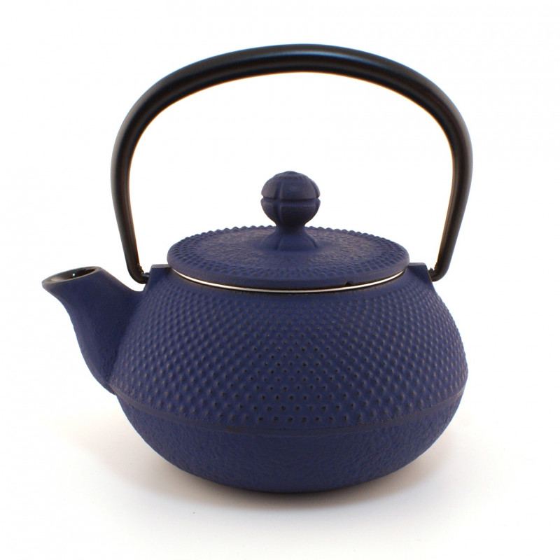 Japanese blue cast iron teapot. Iwachu Arare 0.3 lt