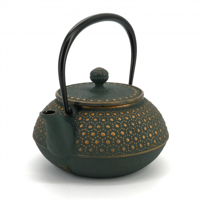 Japanese bronze cast iron teapot IWACHU, KIKKO, 0.8lt