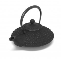 Japanese black cast iron teapot. Iwachu. Kambin 0.5 lt