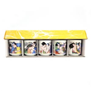 Japanese set of 5 sake cups, EROCHISHIZUMU